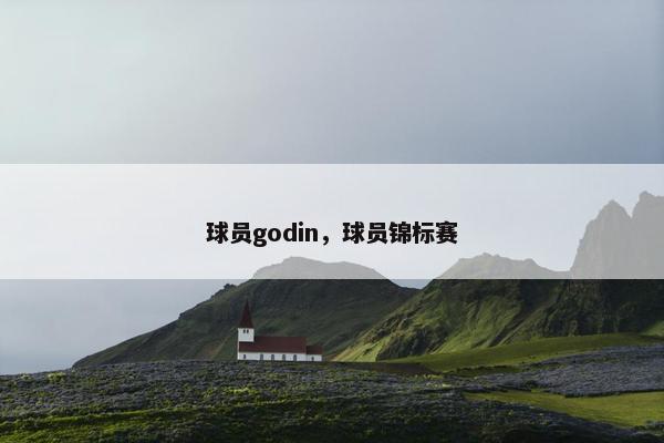 球员godin，球员锦标赛