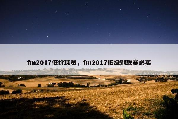 fm2017低价球员，fm2017低级别联赛必买