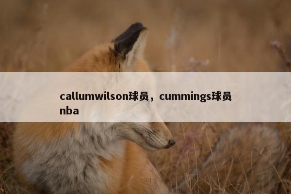 callumwilson球员，cummings球员nba