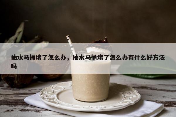 抽水马桶堵了怎么办，抽水马桶堵了怎么办有什么好方法吗