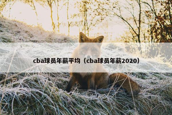 cba球员年薪平均（cba球员年薪2020）