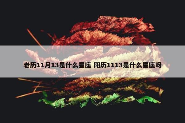 老历11月13是什么星座 阳历1113是什么星座呀