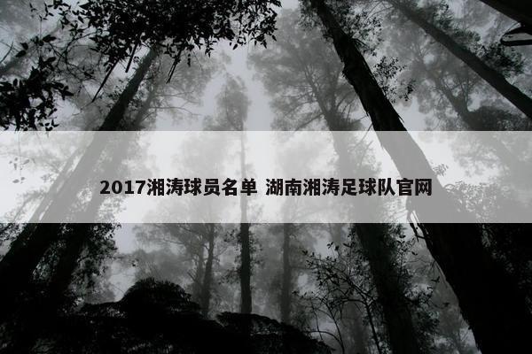 2017湘涛球员名单 湖南湘涛足球队官网