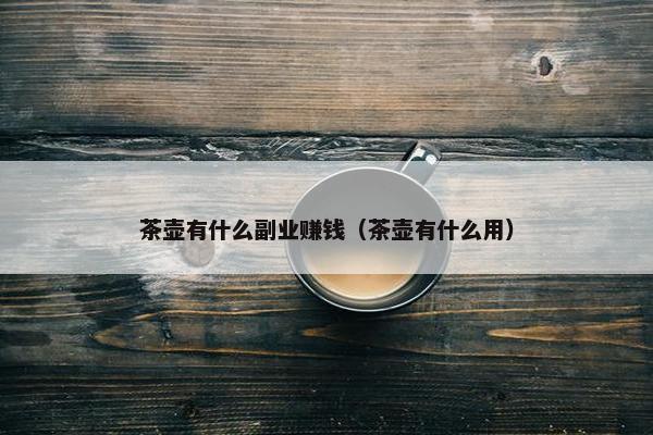 茶壶有什么副业赚钱（茶壶有什么用）