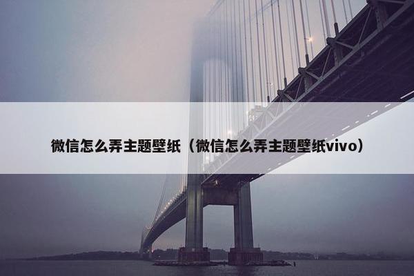 微信怎么弄主题壁纸（微信怎么弄主题壁纸vivo）