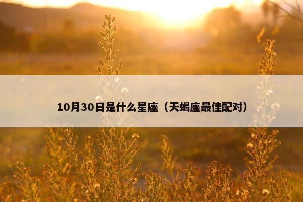 10月30日是什么星座（天蝎座最佳配对）