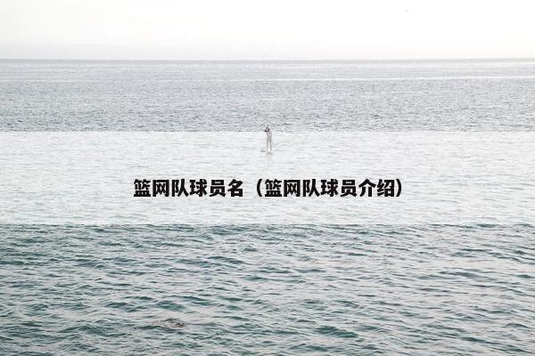 篮网队球员名（篮网队球员介绍）