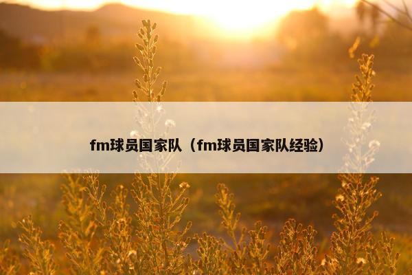 fm球员国家队（fm球员国家队经验）