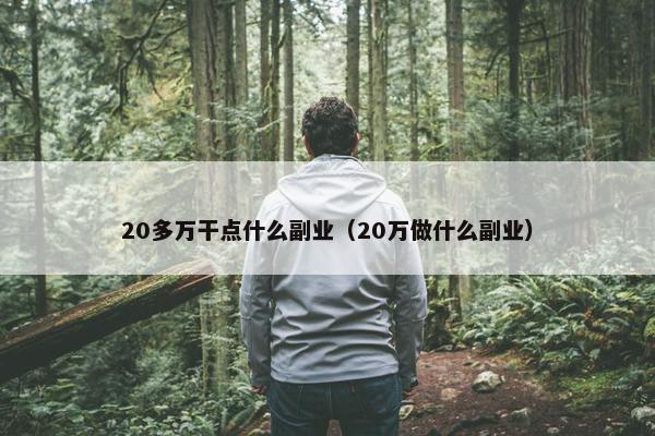 20多万干点什么副业（20万做什么副业）