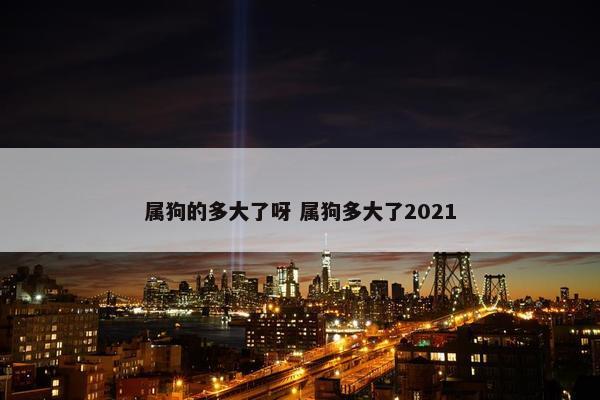 属狗的多大了呀 属狗多大了2021