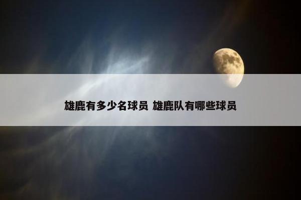 雄鹿有多少名球员 雄鹿队有哪些球员