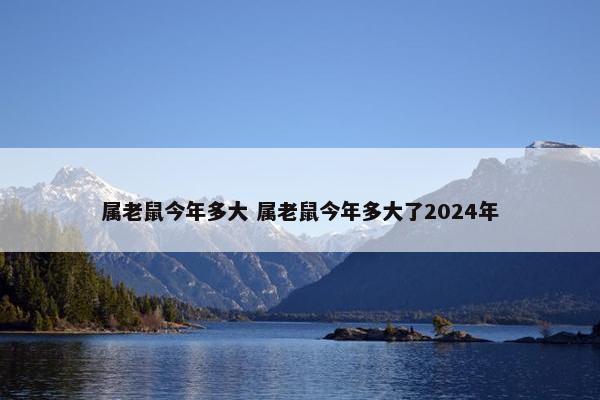 属老鼠今年多大 属老鼠今年多大了2024年