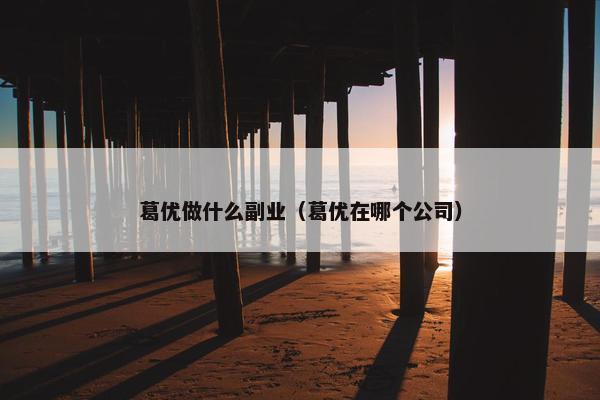 葛优做什么副业（葛优在哪个公司）