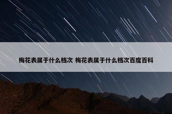 梅花表属于什么档次 梅花表属于什么档次百度百科