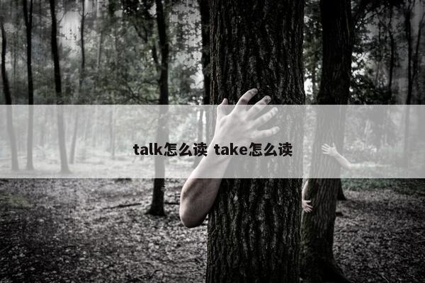 talk怎么读 take怎么读