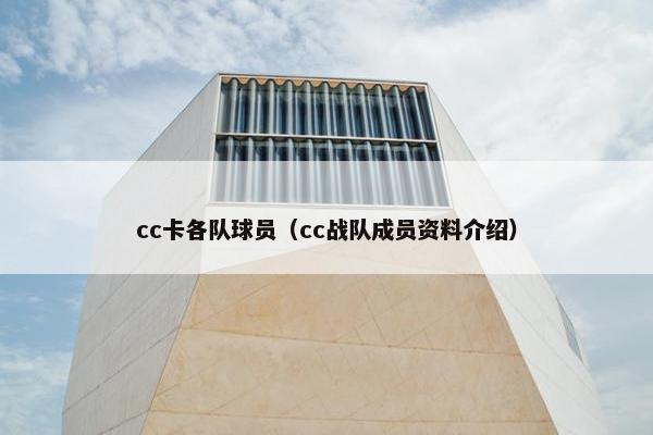 cc卡各队球员（cc战队成员资料介绍）