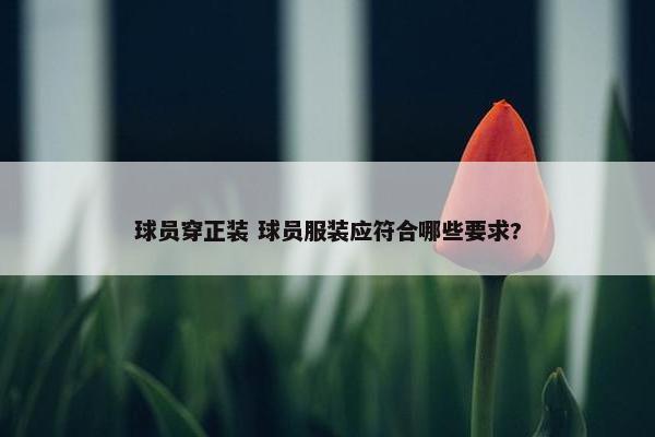 球员穿正装 球员服装应符合哪些要求?