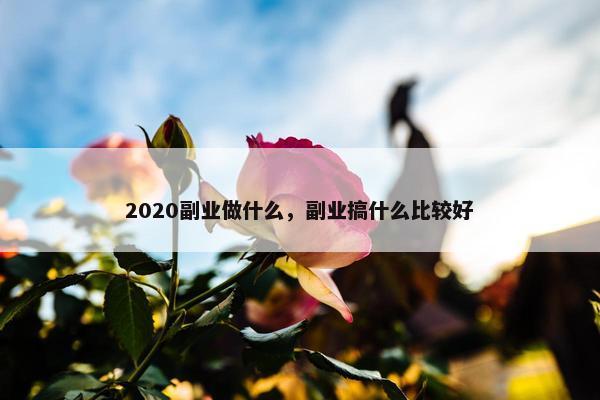 2020副业做什么，副业搞什么比较好