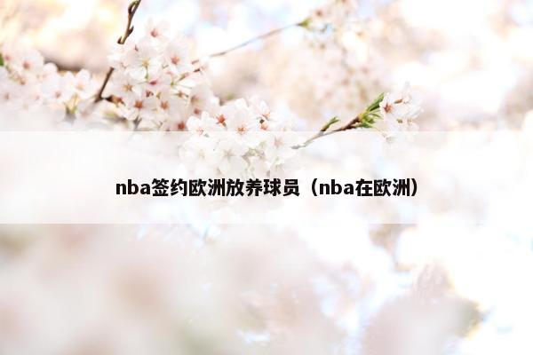 nba签约欧洲放养球员（nba在欧洲）