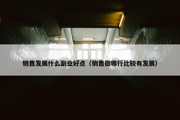 销售发展什么副业好点（销售做哪行比较有发展）