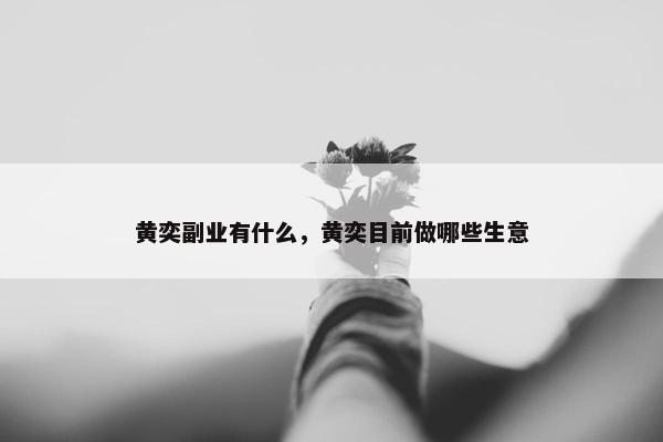 黄奕副业有什么，黄奕目前做哪些生意