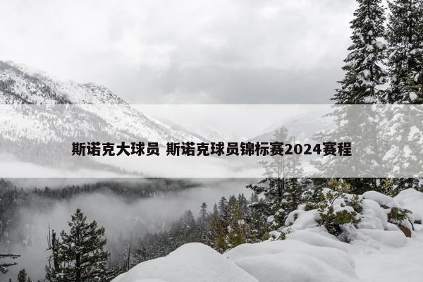 斯诺克大球员 斯诺克球员锦标赛2024赛程