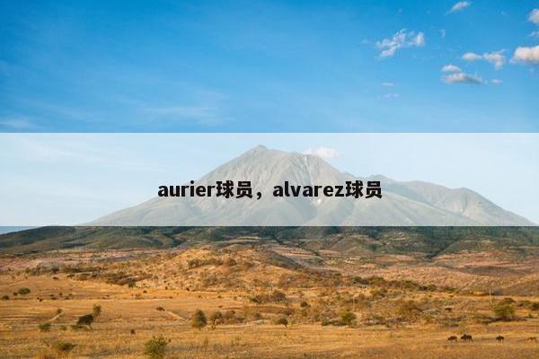 aurier球员，alvarez球员