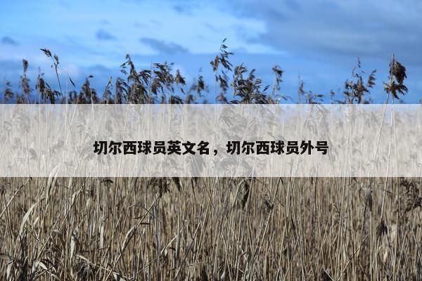 切尔西球员英文名，切尔西球员外号