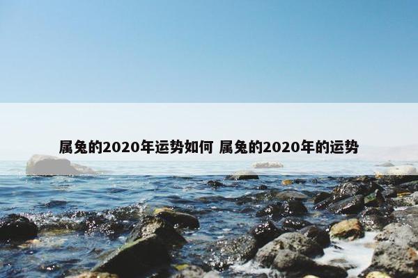 属兔的2020年运势如何 属兔的2020年的运势