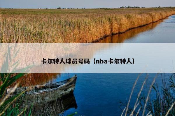 卡尔特人球员号码（nba卡尔特人）