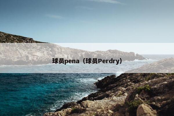 球员pena（球员Perdry）