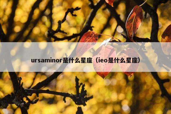 ursaminor是什么星座（ieo是什么星座）