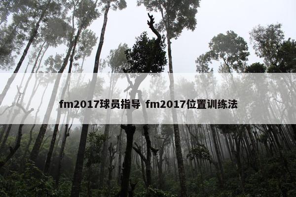 fm2017球员指导 fm2017位置训练法