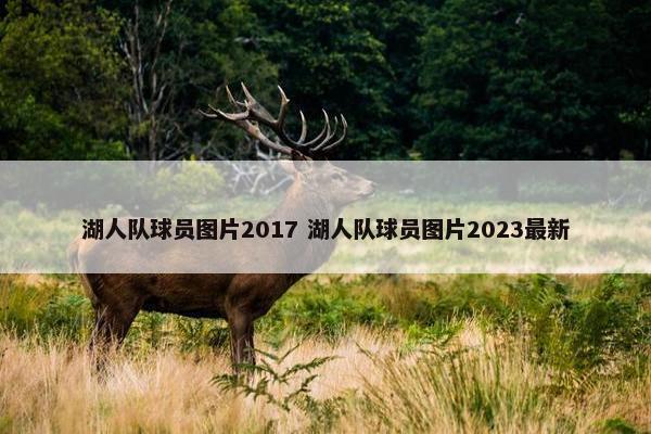 湖人队球员图片2017 湖人队球员图片2023最新