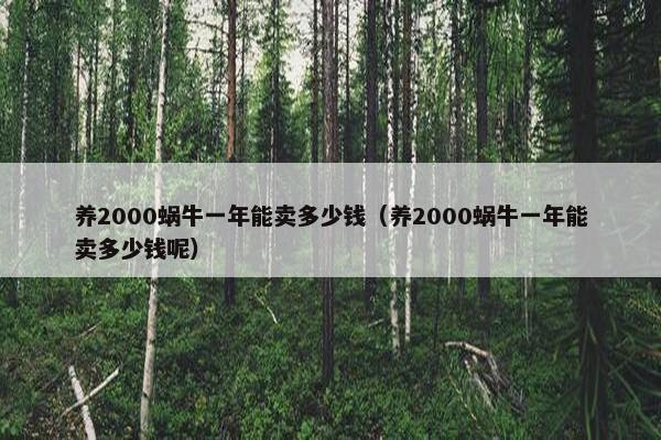 养2000蜗牛一年能卖多少钱（养2000蜗牛一年能卖多少钱呢）