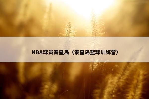 NBA球员秦皇岛（秦皇岛篮球训练营）