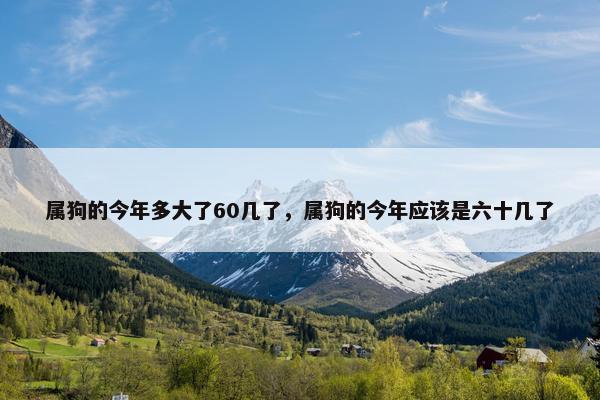 属狗的今年多大了60几了，属狗的今年应该是六十几了