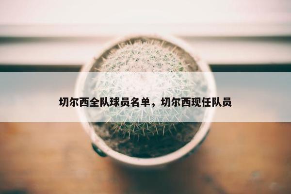 切尔西全队球员名单，切尔西现任队员