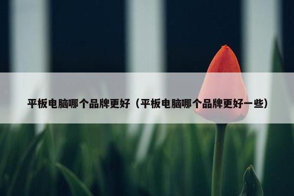 平板电脑哪个品牌更好（平板电脑哪个品牌更好一些）