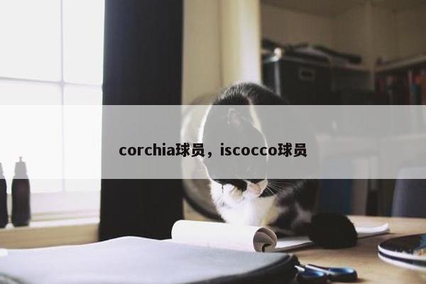 corchia球员，iscocco球员