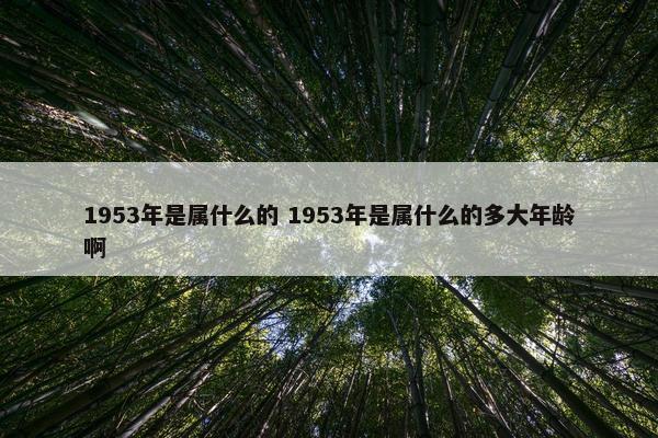 1953年是属什么的 1953年是属什么的多大年龄啊