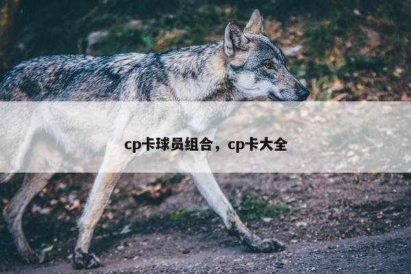 cp卡球员组合，cp卡大全