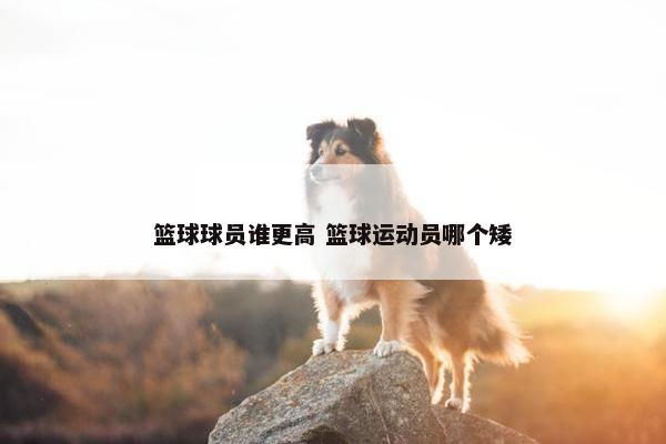 篮球球员谁更高 篮球运动员哪个矮