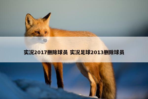 实况2017删除球员 实况足球2013删除球员