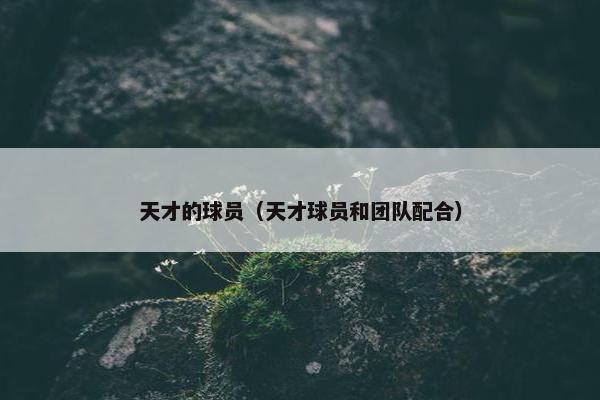 天才的球员（天才球员和团队配合）