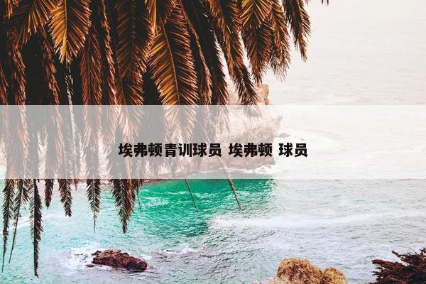 埃弗顿青训球员 埃弗顿 球员