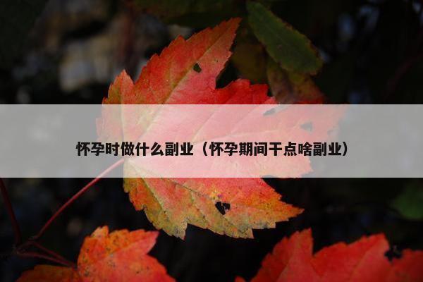 怀孕时做什么副业（怀孕期间干点啥副业）