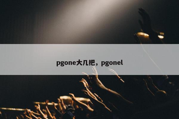 pgone大几把，pgonel