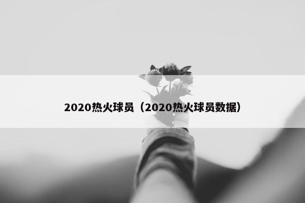 2020热火球员（2020热火球员数据）