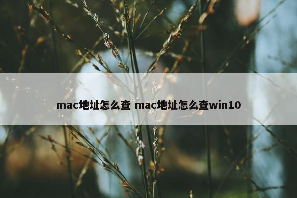 mac地址怎么查 mac地址怎么查win10